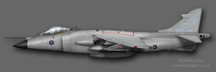 Sea Harrier FRS.1 XZ435 899 NAS